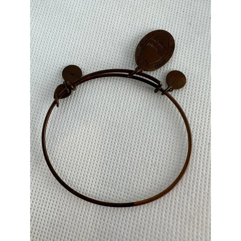 Alex and Ani great preowned